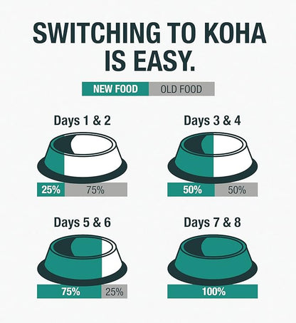 KOHA Limited Ingredient Diet Duck Entrée for Dogs - Sensitive Stomach Canned Dog Food - High Protein, No Fillers Pate Dog Food - 13 oz Pack of 12