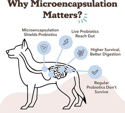 Natural Dog Company Gut Health & Canine Specific Probiotics Chews, 1 Daily Chew for All Dogs, Prebiotics & Digestive Enzymes for Digestion, Gas, Loose Stool, Immune System & Bowel Support