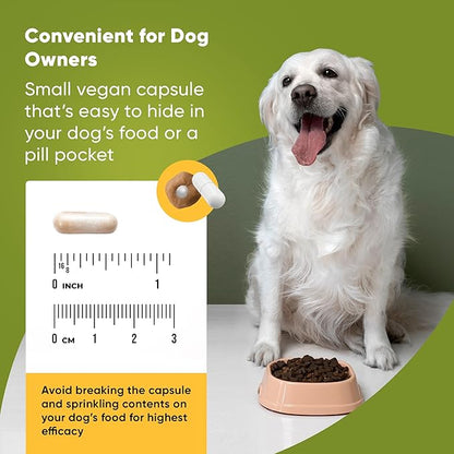 Rooted Owl Joint and Muscle Support for Large Dogs (Over 30 Lbs) - Supplement with UC-II Type II Collagen and L-Carnitine - 30 Count