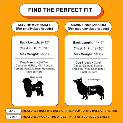 The Maxine One Small Dog Carrier by Little Chonk | Dog Backpack Carrier for Small Sized Breeds | Adjustable Front Facing Pet Carrier for Travel | Dog Hiking Backpack -Bark After Dark Black
