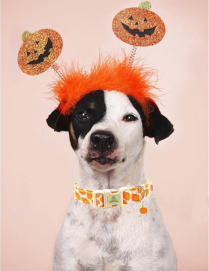 Lionheart glory Halloween Dog Collars Pumpkin Pink Dog Collar Heavy Duty Adjustable Fall Dog Collar for Large Collar Dog Female or Male Dog Collar