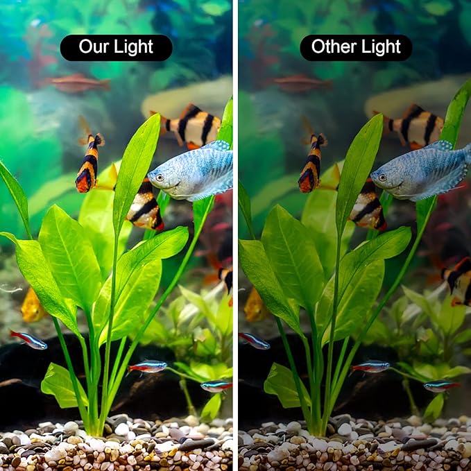 WEAVERBIRD Aquarium Light M3 Fan Shape Fish Tank LED Light 5W 12 LED Planted Clip Lamp for 4-10Inch 6mm Thick Fish Tanks