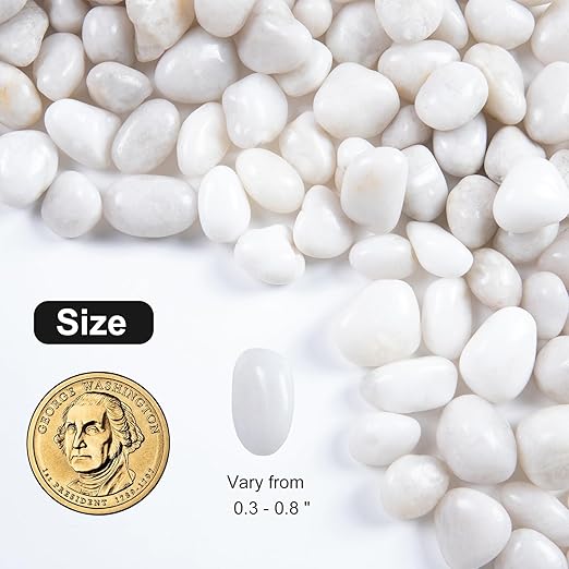 10LB White River Rock- High Polished Pebbles for Indoor Plants- Decorative Stones for Aquarium Fish Tank - White Rocks for Outdoor Garden Landscaping - 0.3"-0.8"