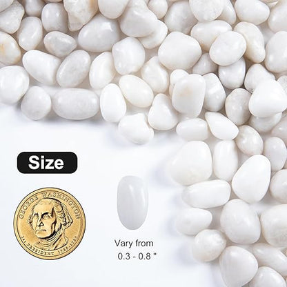 20lb White River Rock- High Polished Pebbles for Indoor Plants- Decorative Stones for Aquarium Fish Tank - White Rocks for Outdoor Garden Landscaping - 0.3"-0.8"
