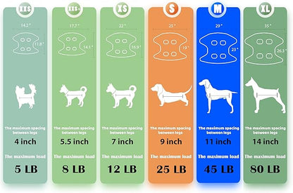 Guzekier Cat Grooming Hammock, Cat Nail Clipper Hammock for Nail Trimming, Cat Holder Sling for Cutting Nails, Restraint Bag with Safety Belt, Nail Clippers and Nail File