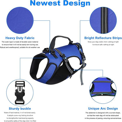 Dog Lift Harness, Full Body Support & Recovery Sling, Pet Rehabilitation Lifts Vest Adjustable Breathable Straps for Old, Disabled, Joint Injuries, Arthritis, Paralysis Dogs Walk (Blue, XXL)