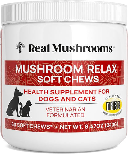Calming Chews for Dogs & Cats – Soft Chews with Reishi & Lion’s Mane for Daily Composure – for All Breeds & Sizes – Calming Treats for Dogs: 1 Chew/20 lb Daily; Cats: ¼ Chew Twice Daily – 60 Count