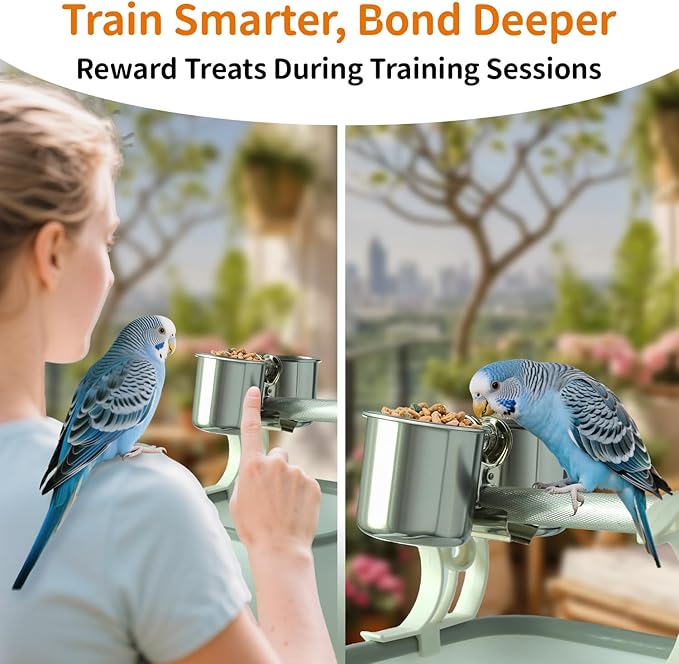 Bird Desktop Training Stand with Detachable Stainless Steel Double Bowls Feeder, Easy Clean Portable Bird Perches Stand with Detachable Base for Parakeets, Small-Sized Birds, Parakeet Cage Accessories