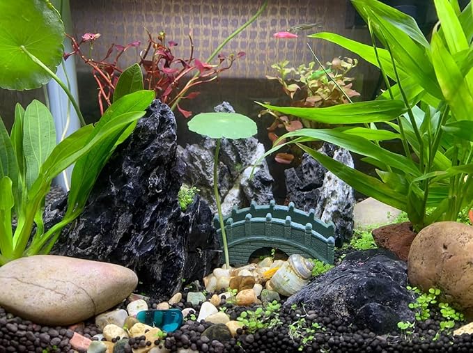 Unocho Seiryu Stone Aquarium Rocks 40LB Natural Fish Tank Rocks for Aquascaping Garden Landscaping Decoration Paludarium Amphibian Enclosures(312 Inches)