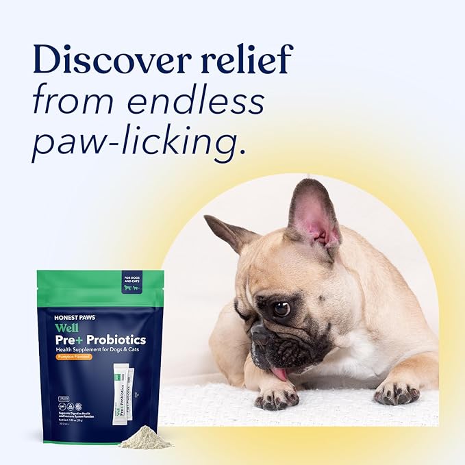 Honest Paws Probiotics for Dogs - Dog Digestion Gut Health Probiotic Powder with Prebiotic Made in The USA, Digestive and Immune Support - Digestive Enzymes with Pumpkin Flavor (30 Sticks)