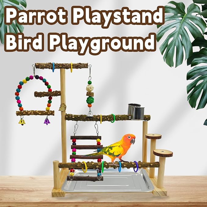 kathson Parrot Play Stand Parakeet Playground Bird Jungle Gym Wood Conure Playstand Hanging Chewing Toys with Swings and Feeder Cups Bird Cage Accessories for Cockatiel Lovebirds Budgie