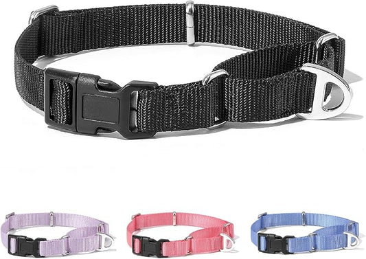 Rttochfy Martingale Dog Collars, Adjustable Nylon Dog Collar with Quick Release Buckle, No Choke Dog Training Collar for Small Medium Large Dogs (Black, L)