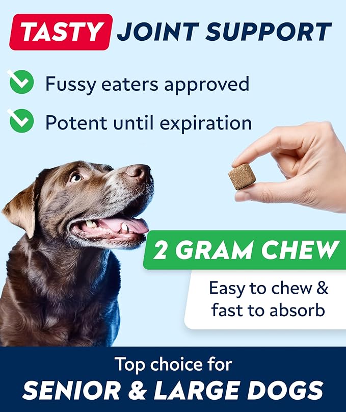 STRELLALAB Hip & Joint Glucosamine Supplement Treats for Dogs - Chondroitin, Omega-3, MSM - Advanced Joint Health Support Chews for Large Breed - Pain Relief - Bacon Flavor - 120 Ct - Made in USA