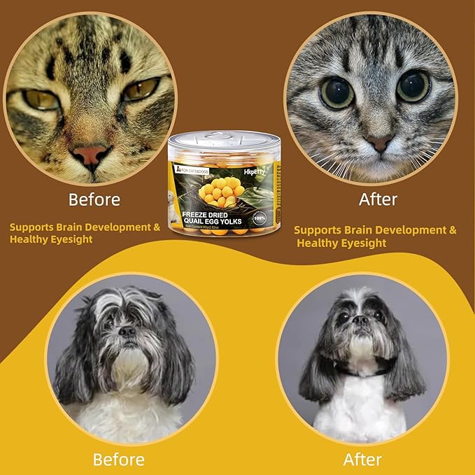 Freeze Dried Cat and Dog Treats Quail Egg Yolk, Healthy Tasty Snacks for Cats Dogs Training, Natural Freeze-Dried Limited Ingredient Quail Egg Yolk,Wholesome and Delicious Snacks for Pets