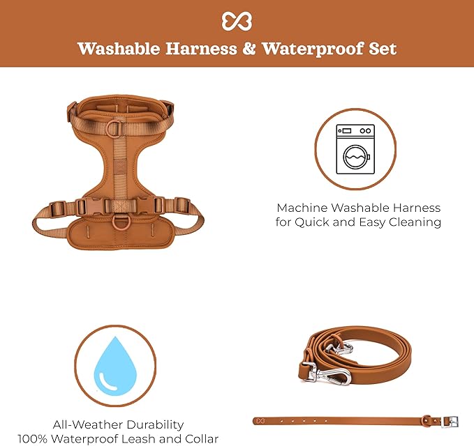 Dog Harness and Leash Set | BearBone No Pull Dog Harness and Waterproof Dog Collar and Leash Set | Heavy Duty Dog Harness, Leash and Collar | Small Dog Harness and Leash Set (Brown, Small)