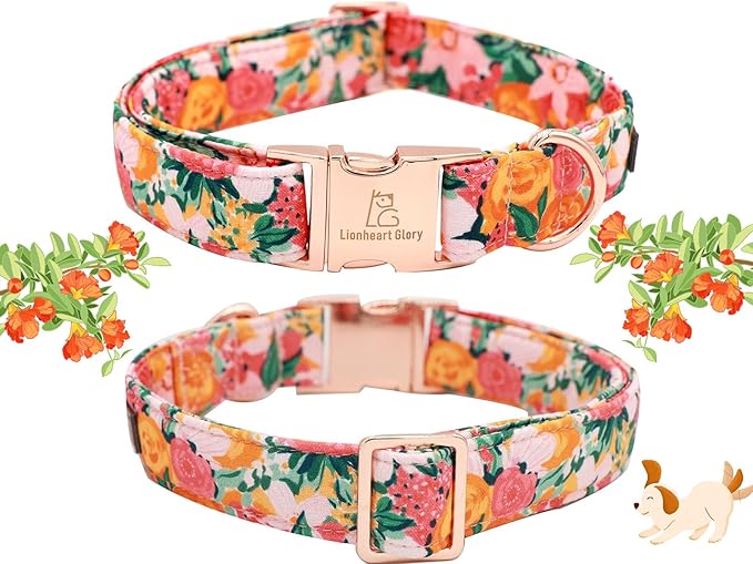 Lionheart glory Premium Floral Dog Collars Spring Dog Collar, Adjustable Heavy Duty Girl Dog Collar for X-Small Dogs