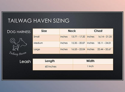 Dog Harness and Leash Set, No Pull Adjustable Soft Padded Vest, No Choke (Large, White Stripe)