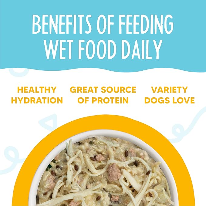 Weruva Meals 'n More Natural Wet Dog Food, Paw Lickin Chicken Plus Skin & Coat Health, 3.5oz Cup (Pack of 12)