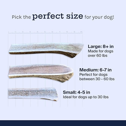 Good Trouble Pets Premium Elk Antlers for Large Dogs - All-Natural, Shed Antler Chews for Dental Health & Calming - Durable Dog Bones for Aggressive Chewers - Cruelty-Free, North American Sourced