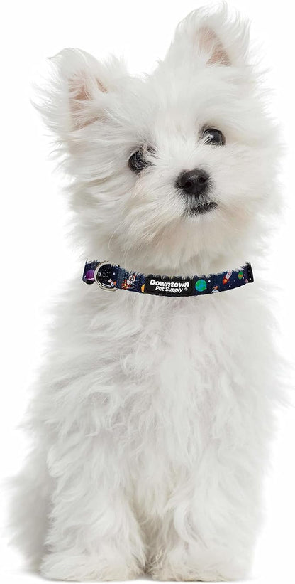 Downtown Pet Supply - Best, Cute & Fancy Dog Collar - Lightweight Adjustable Dog Collar with Quick Buckle & D-Ring - Hand Wash Safe - Space - L - Large Dog Collar