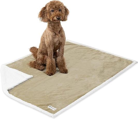 PetAmi WATERPROOF Dog Blanket for Medium Large Dog, Pet Puppy Blanket Couch Cover Protection, Sherpa Fleece Cat Blanket, Sofa Bed Furniture Protector Reversible Soft Plush Washable, 60x40 Taupe