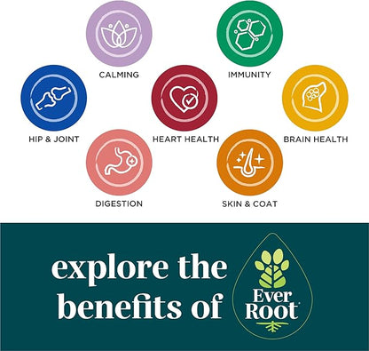 By Purina Calming Dog Supplements Soft Chews - 10.6 oz. Canister