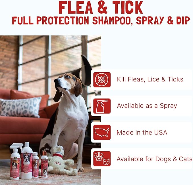 Bio-Groom Flea & Tick Dog Shampoo - Flea and Tick Prevention for Dogs, Cat Flea Treatment, Cruelty-Free, Made in USA, Natural Tick Repellent, Protein-Lanolin Shampoo - 2.5 Gallons
