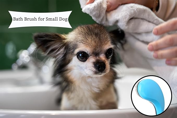 Small Dog Brush- Grooming Tool for Teddy, Yorkies, Maltese, Shih Tzu, Chihuahua - Puppy Hair Brush (Blue)