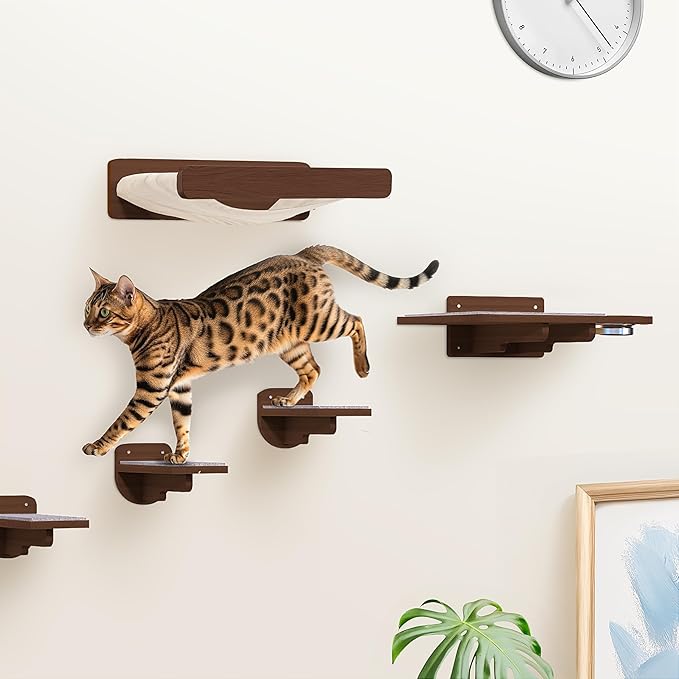 Space-Saving Cat Wall Shelves – Interactive Cat Wall Climber with Hammock & Dog Proof Feeding Station for All Indoor Breeds – Solid Walnut Wood with Beige Carpet