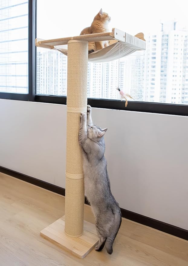 Upgraded Cat Window Perch with Scratching Post, 54.3" Adjustable Cat Tall Scratching Posts & Suction Cup – Multi-Level Perch for Climbing, Bird Watching, and Play, Supports 60 lbs (Drilling-Free)