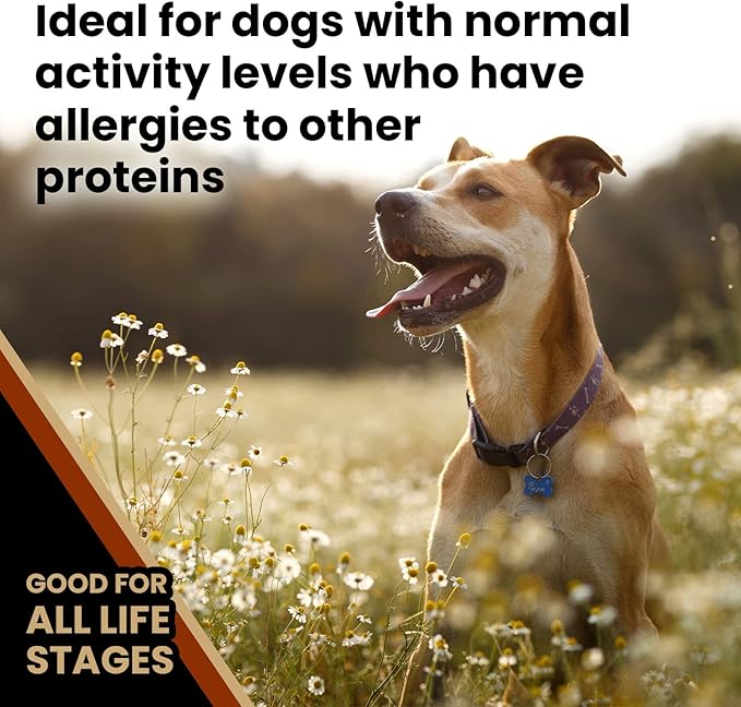 Victor Super Premium Dog Food  Chicken Meal & Brown Rice Formula - Dry Dog Food for All Normally Active Dogs of All Life Stages  Ideal for Dogs with Meat Protein Allergies, 40 lb