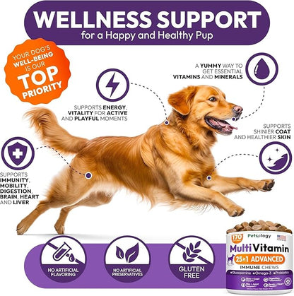 (2 Pack) Dog Multivitamin Chewable - 340 Chews - Dog Vitamins and Supplements with Glucosamine - Hip & Joint, Pet Immune Support, Gut & Heart Health - Senior & Puppy Multivitamin Pet Supplement
