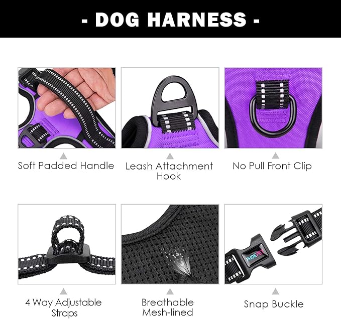 PHOEPET No Pull Dog Harnesses for Small Dogs Reflective Adjustable Front Clip Vest with Handle 2 Metal Rings 3 Buckles [Easy to Put on & Take Off](XS, Purple)