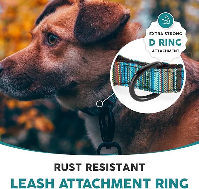 Embark Urban Dog Collar  Dog Collar Stylish & Durable Nylon Dog Collar for Large Dogs, Small Dogs & Medium Dogs.Comfortable Pet Collar Strong Buckles for Any Size Breed (Boho, Large)