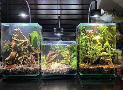 Lominie Aquarium Plant Light LED Aquarium Light Nano Freshwater Fish Tank LED Light for Refugium Planted Tank with Gooseneck
