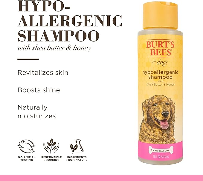 Burt's Bees for Pets Hypoallergenic Shampoo for Dogs with Shea Butter and Honey, 2pk, 95% Natural Origin Formulas, Shampoo for Sensitive Dogs - Gentle Dog Shampoo, 2pk, 16 oz