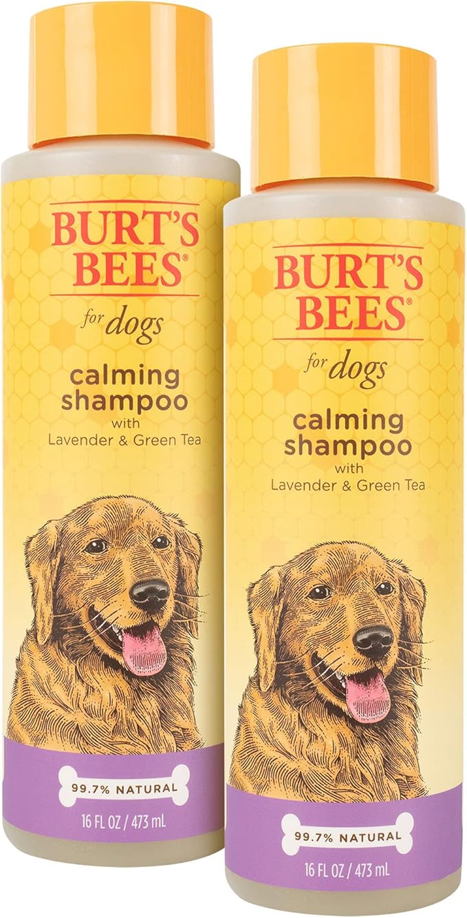 Burt's Bees for Pets Calming Dog Shampoo with Lavender and Green Tea, 2 Pack, 95% Natural Origin Formulas, Calming Lavender Dog Shampoo - Gentle Dog Shampoo, Best Dog Shampoo, Lavender, 2pk, 16 oz