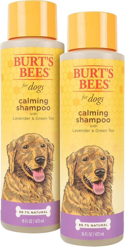 Burt's Bees for Pets Calming Dog Shampoo with Lavender and Green Tea, 2 Pack, 95% Natural Origin Formulas, Calming Lavender Dog Shampoo - Gentle Dog Shampoo, Best Dog Shampoo, Lavender, 2pk, 16 oz