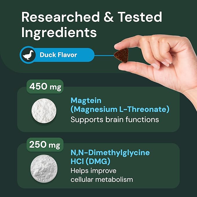 VetriScience Veterinary Strength Healthy Cognition Chews - Senior Wellness Supplement for Dogs - Supports Cognition, Immune Function & Metabolism - 60 Count