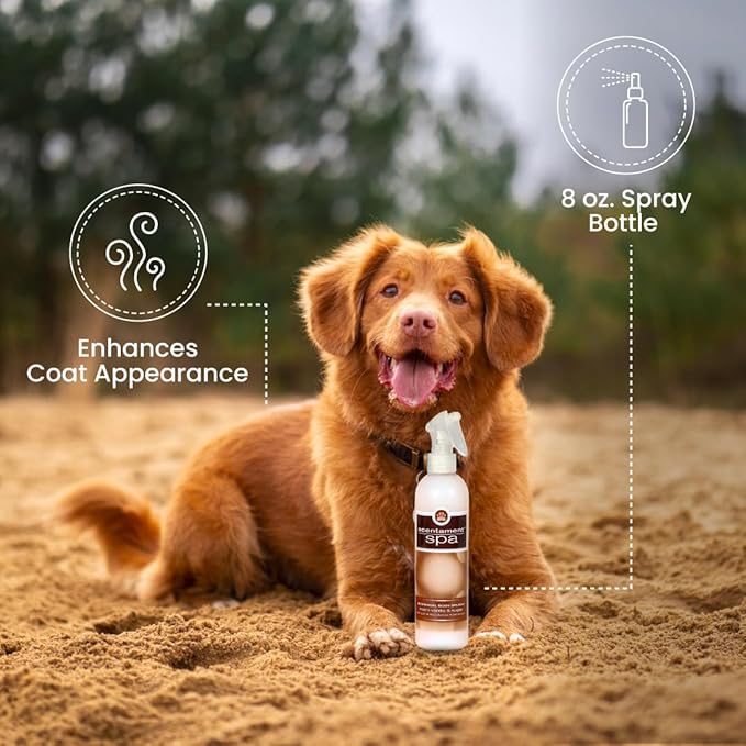 Best Shot Scentament Spa Botanical Body Splash, Detangler Spray, Hypoallergenic Body Spray for Cat, Dog, Warm Vanilla Sugar, 8 Oz.