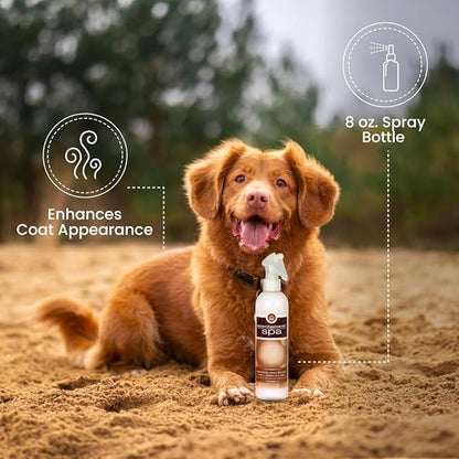 Best Shot Scentament Spa Botanical Body Splash, Detangler Spray, Hypoallergenic Body Spray for Cat, Dog, Warm Vanilla Sugar, 8 Oz.