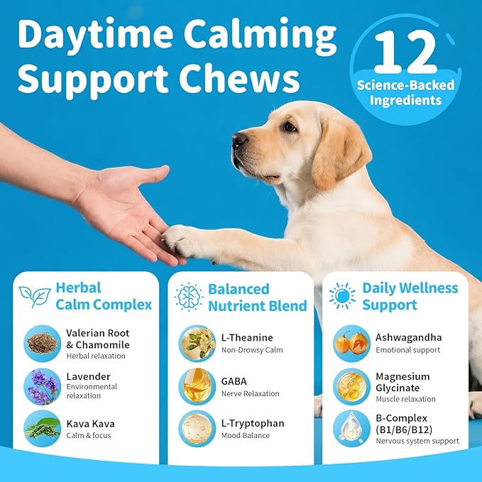 Calming Chews for Dogs – Calming Treats for Anxiety, Stress, Separation, Travel & Thunder, Non-Drowsy Alternative to Melatonin, Calm & Focus with Chamomile & Ashwagandha, Bacon Flavor, 60Ct