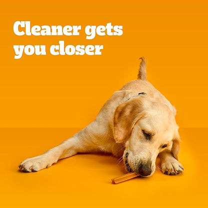 Pedigree Dentastix Large Breed Dog Treats, Original Flavor, (4) 18ct Bags (72 Total Treats)