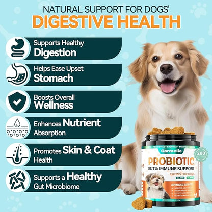 Probiotics for Dogs, 200 Soft Chews Digestive Probiotics & Enzymes for Gut Health with Pumpkin, Fibre for Dogs Anti Diarrhea, Upset Stomach, Gas Relief, Itchy Skin & Immune Support (Chicken)