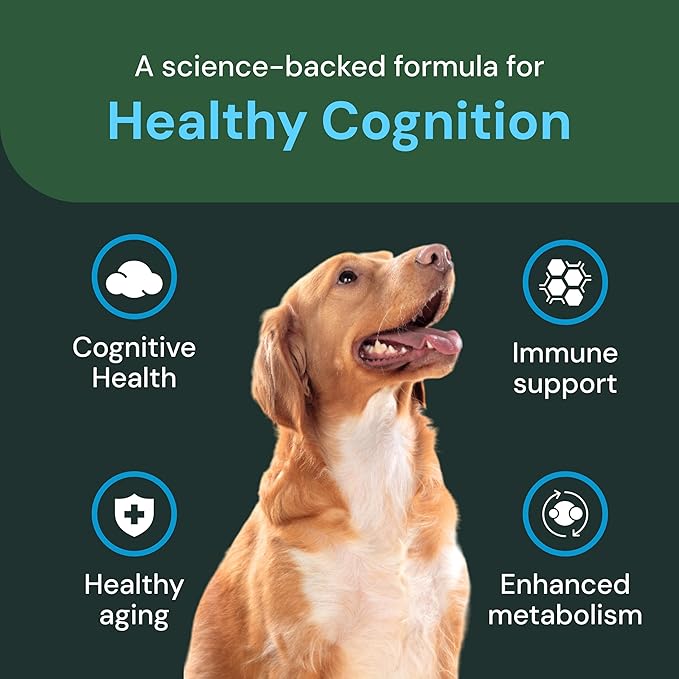 VetriScience Veterinary Strength Healthy Cognition Chews - Senior Wellness Supplement for Dogs - Supports Cognition, Immune Function & Metabolism - 60 Count