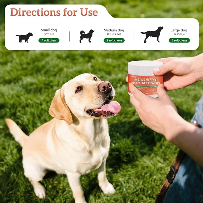 Advanced Dog Hip and Joint Supplement with Glucosamine, Chondroitin, MSM, and Vitamin C, Beef Flavor, 60 Soft Chews