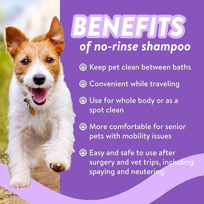 Bodhi Dog Waterless Shampoo - Natural Dry Shampoo for Dogs & Cats - Neutralizes Pet Odor - No Rinse Required - Made of Natural Extracts - Safe for Sensitive Skin - Made in USA - Lavender (8 Fl Oz)