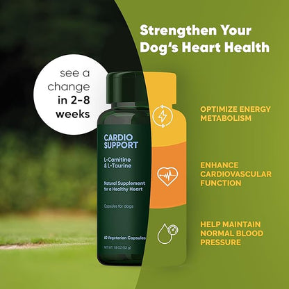 Rooted Owl Cardio Support - L-Taurine and L-Carnitine Supplement for Dogs - Cardiovascular and Heart Health Supplements for Dogs - 60/ct