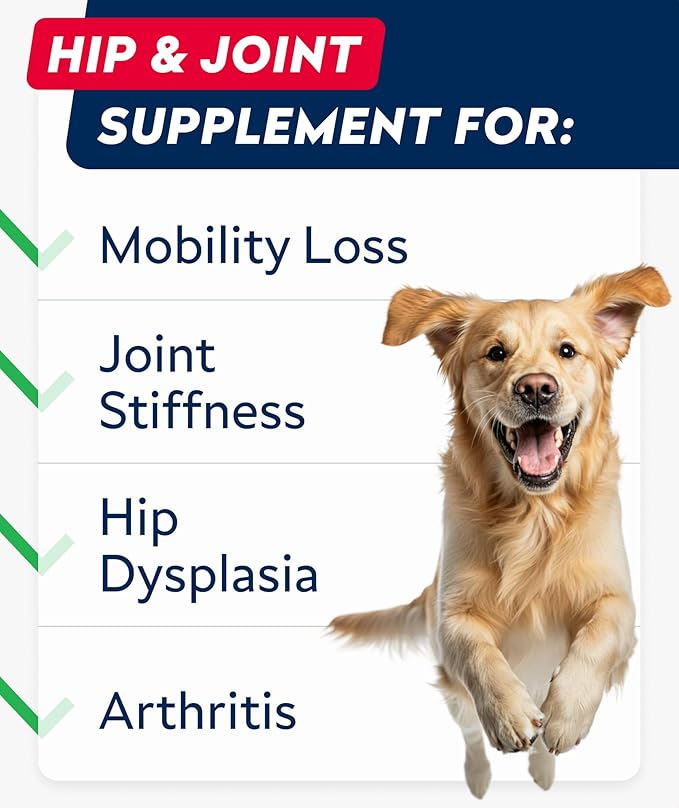 Glucosamine Treats for Dogs - Joint Supplement w/Omega-3 Fish Oil - Chondroitin, MSM - Advanced Mobility Chews - Joint Pain Relief - Hip & Joint Care - Peanut Butter Flavor - 180 Ct - Made in USA