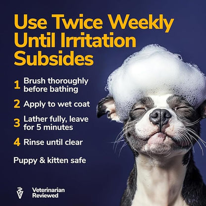 Medicated Dog Shampoo for Itchy Skin Relief - Yeast Infection Treatment for Dogs & Dog Allergy Relief Hot Spot Treatment - Hydrocortisone Antifungal Shampoo (16 oz)